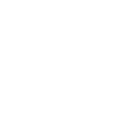 PROJECT STW